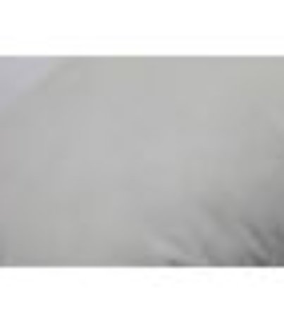 cushion (1)