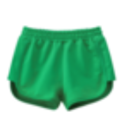 shorts (1)