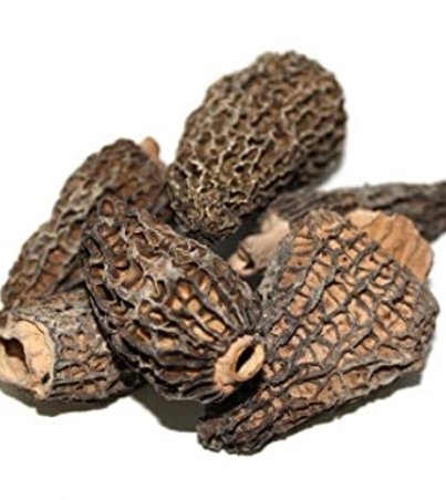 dried-morel-mushrooms